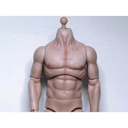 1/6 Scale Muscle Body pale KP03 2019 Version